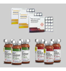 Beligas 12 Weeks Heavy Bulk Stack Plus Anti Estrogen – Int