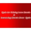 Cycle for Gaining Lean Muscle & Increasing Muscle Mass