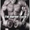 Fat Burner Cycle