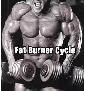 Fat Burner Cycle