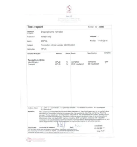 Alternative view of Nolvadex 20 mg 100 Tablets Dragon Pharma